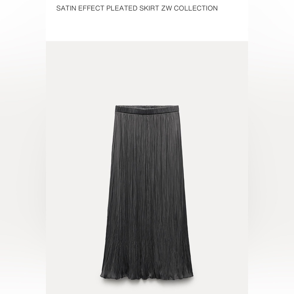 Zara Elegant Black Pleated Skirt